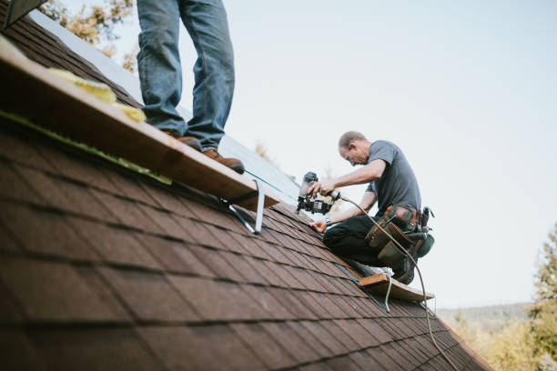 Best Storm Damage Roof Repair  in Eupora, MS